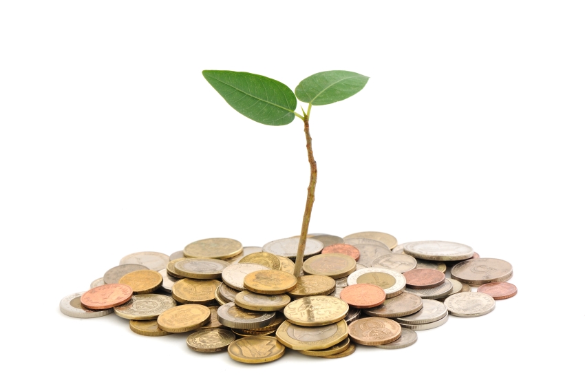 Photo of a sapling growing from a pile of money.