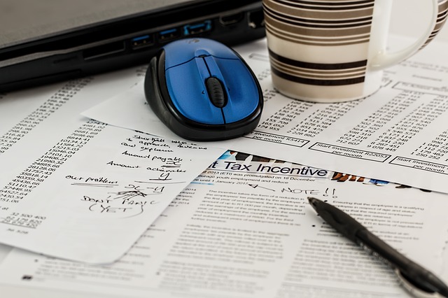 Photo of a blue computer mouse on top of documents.